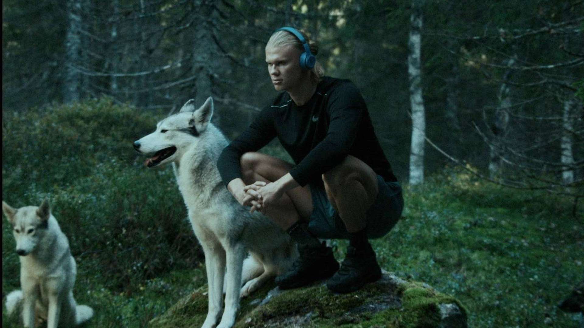 而是选择更 而是选择更